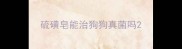 硫磺皂能治狗狗真菌吗