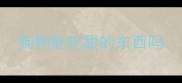 狗狗能吃甜的东西吗