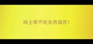 哈士奇不吃东西饿死