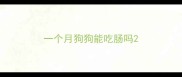 一个月狗狗能吃肠吗