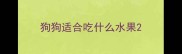 狗狗适合吃什么水果