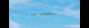 北京市宠物救助中心