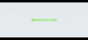 猫咪嘴边有白色粘液