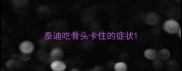 泰迪吃骨头卡住的症状