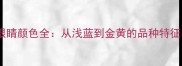 缅因猫眼睛颜色全从浅蓝到金黄的品种特征与科学