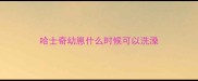 哈士奇幼崽什么时候可以洗澡