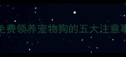 最新全攻略免费领养宠物狗的五大注意事项与避坑指南