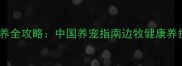 边境牧羊犬饲养全攻略中国养宠指南边牧健康养护与训练技巧