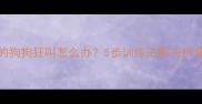 边牧狗狗见到别的狗狗狂叫怎么办5步训练法解决护食焦虑与社交障碍