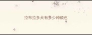 拉布拉多犬有多少种颜色