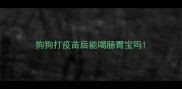 狗狗打疫苗后能喝肠胃宝吗