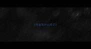 5月金毛什么样子