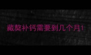 藏獒补钙需要到几个月
