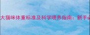 两个月大猫咪体重标准及科学喂养指南新手必看