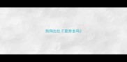 狗狗拉肚子要禁食吗