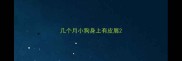 几个月小狗身上有皮屑