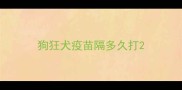 狗狂犬疫苗隔多久打