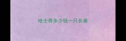 哈士奇多少钱一只长春