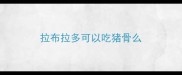 拉布拉多可以吃猪骨么