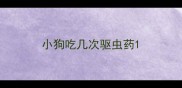 小狗吃几次驱虫药