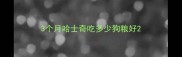 3个月哈士奇吃多少狗粮好