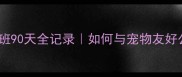 边牧幼犬带上班90天全记录如何与宠物友好公司和平共处