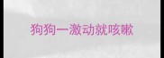 狗狗一激动就咳嗽