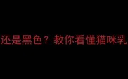 猫咪乳头颜色是粉色还是黑色教你看懂猫咪乳头颜色与健康的关系