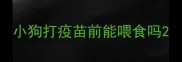 小狗打疫苗前能喂食吗