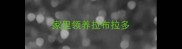 家里领养拉布拉多