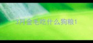 3月金毛吃什么狗粮
