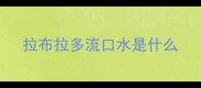 拉布拉多流口水是什么