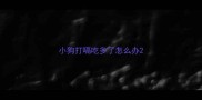 小狗打嗝吃多了怎么办