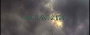 金毛几个月会握手
