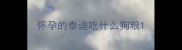 怀孕的泰迪吃什么狗粮