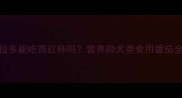 拉布拉多能吃西红柿吗营养师犬类食用番茄全指南