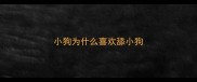小狗为什么喜欢舔小狗