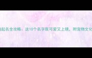 棕色狗狗起名全攻略这10个名字既可爱又上镜附宠物文化冷知识
