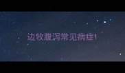 边牧腹泻常见病症