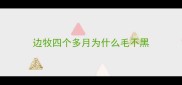 边牧四个多月为什么毛不黑