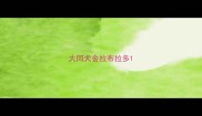 大同犬舍拉布拉多