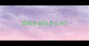 猫咪乱尿尿怎么办