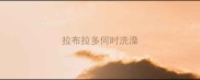 拉布拉多何时洗澡