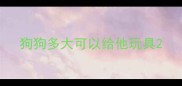 狗狗多大可以给他玩具