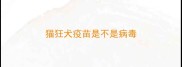 猫狂犬疫苗是不是病毒