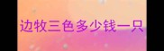 边牧三色多少钱一只