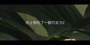 哈士奇吃了一颗巧克力