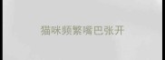 猫咪频繁嘴巴张开