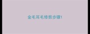 金毛耳毛修剪步骤