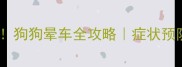 自驾带毛孩必看狗狗晕车全攻略症状预防应急处理大公开